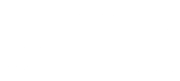 Langhe Wine Truffle Tour